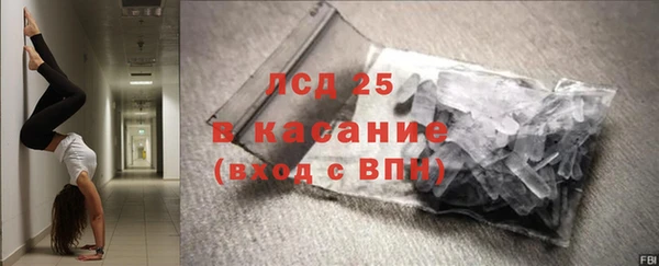 индика Богданович