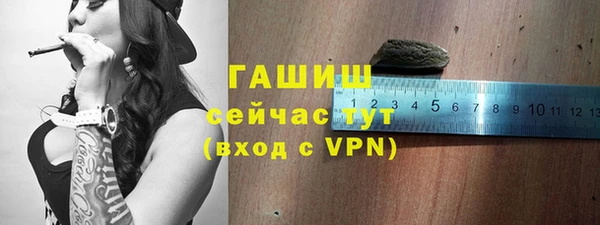 индика Богданович