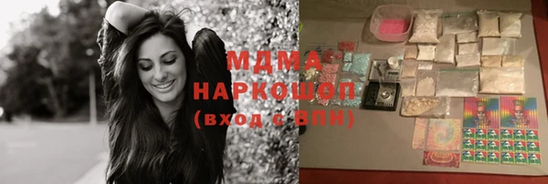 индика Богданович