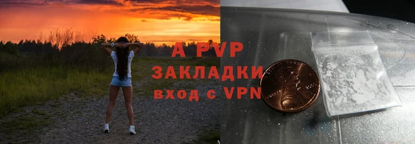 индика Богданович