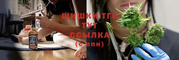 индика Богданович