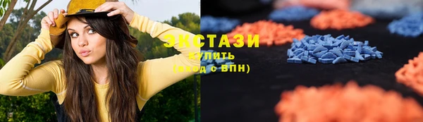 индика Богданович