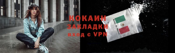 индика Богданович