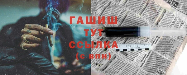 индика Богданович