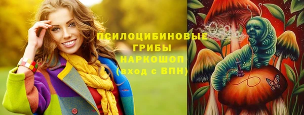 гашик Богородицк