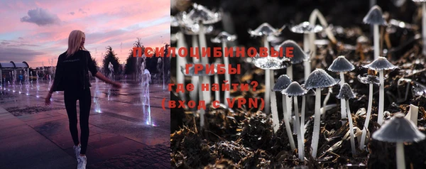 мяу мяу мука Богородск
