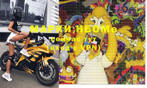 индика Богданович