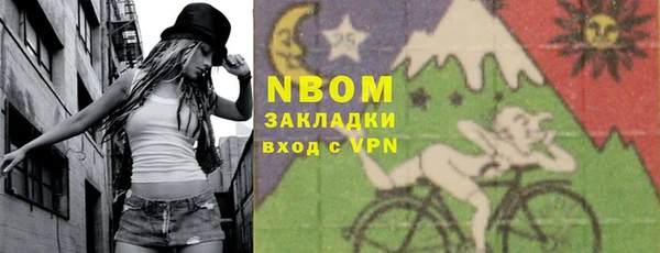 индика Богданович