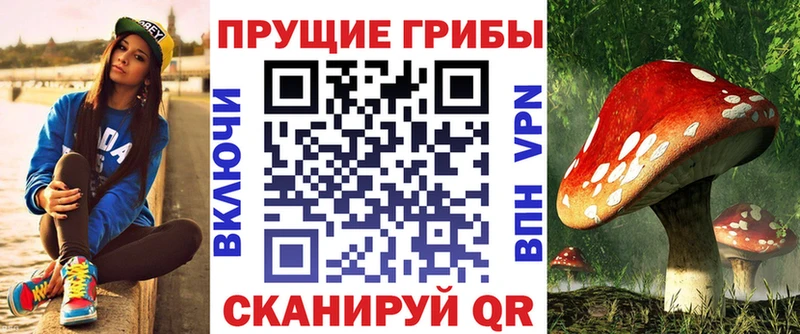 Галлюциногенные грибы GOLDEN TEACHER  наркота  Ядрин 